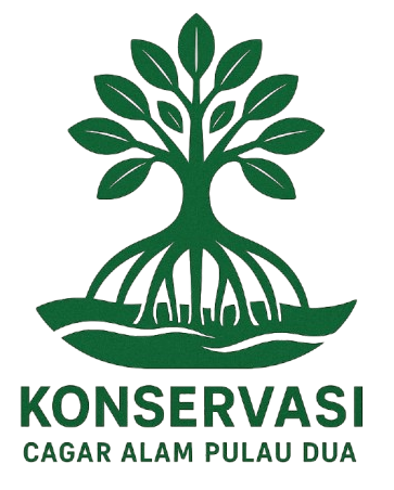 Mangrove – Pulau Dua